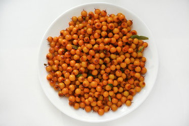 Similar image 21529418