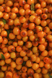 Similar image 21529419