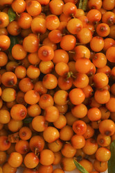 Similar image 21529421