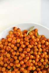 Similar image 21529423