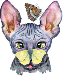 Similar image 21530931