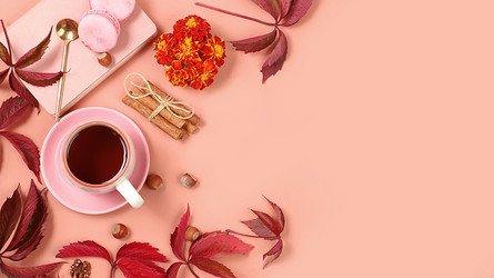 Similar image 21529427