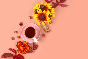 Similar image 21529431