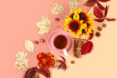 Similar image 21529432