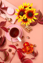 Similar image 21529434