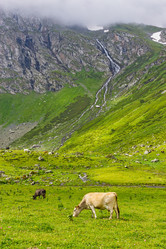 Similar image 21529437