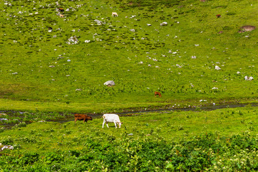 Similar image 21529438