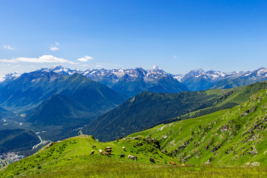 Similar image 21529440