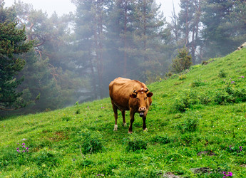 Similar image 21529442