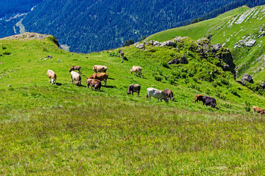 Similar image 21529444