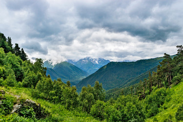 Similar image 21529445