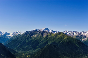 Similar image 21529454