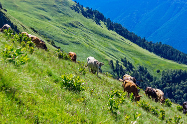 Similar image 21529461