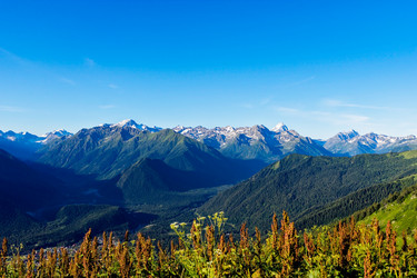 Similar image 21529466