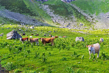 Similar image 21529477