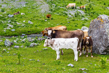 Similar image 21529478