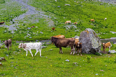 Similar image 21529481