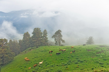 Similar image 21529485