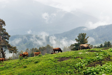 Similar image 21535936