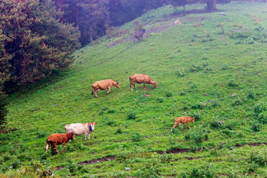 Similar image 21535937