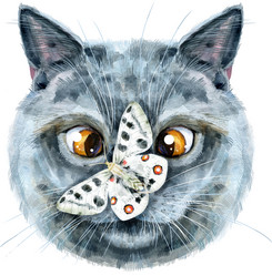 Similar image 21530933