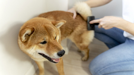 Similar image 21548675