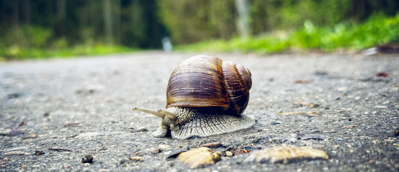 Similar image 21548678