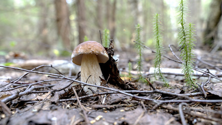 Similar image 21548679