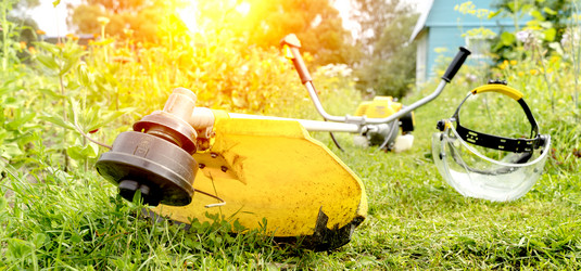 Similar image 21548687