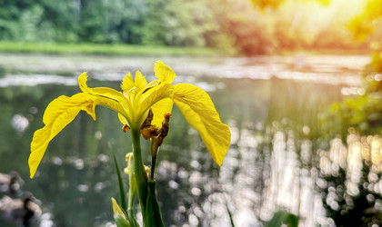 Similar image 21548692