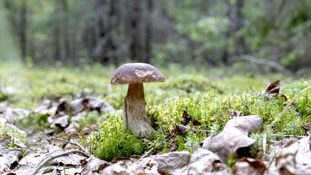 Similar image 21548696