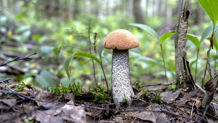 Similar image 21548697