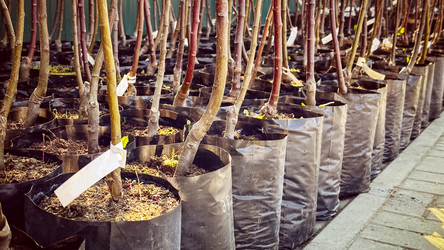 Similar image 21548700