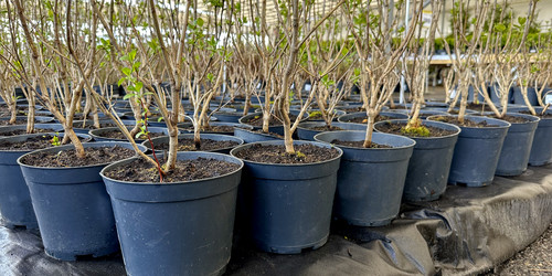 Similar image 21548704