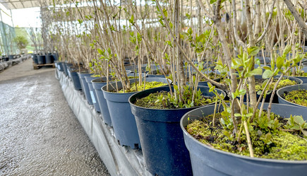 Similar image 21548708