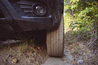 Similar image 21548711