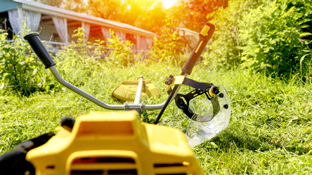 Similar image 21548713