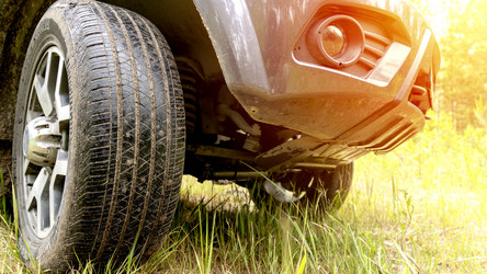 Similar image 21548715