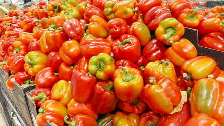 Similar image 21548716