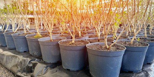 Similar image 21548720