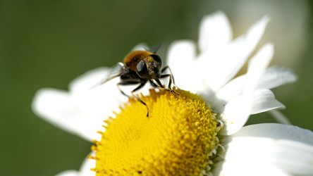 Similar image 21548721