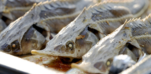 Similar image 21548722