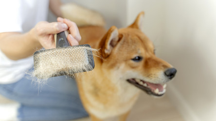 Similar image 21548731