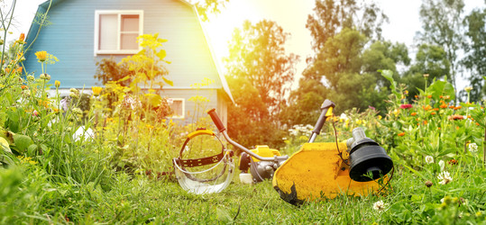 Similar image 21548734