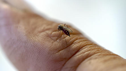 Similar image 21548737