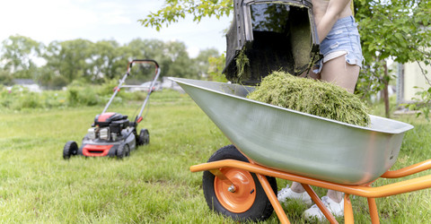 Similar image 21548738