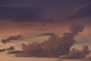 Similar image 21530159