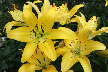 Similar image 21530165