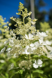 Similar image 21530736