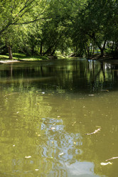 Similar image 21530737